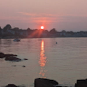 Meet your Posher, Ginger